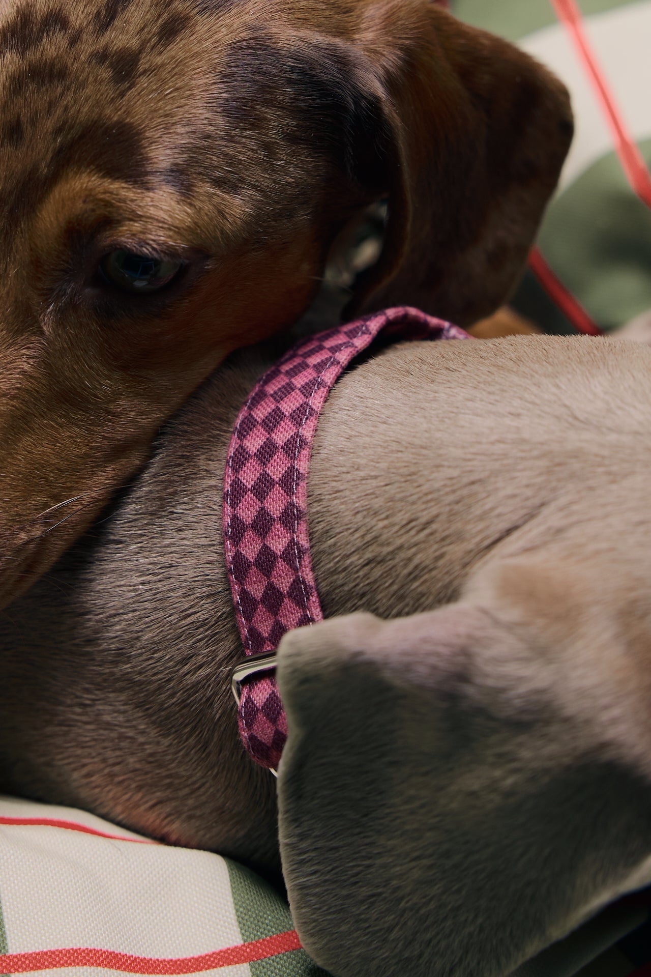 Collier Click Losange