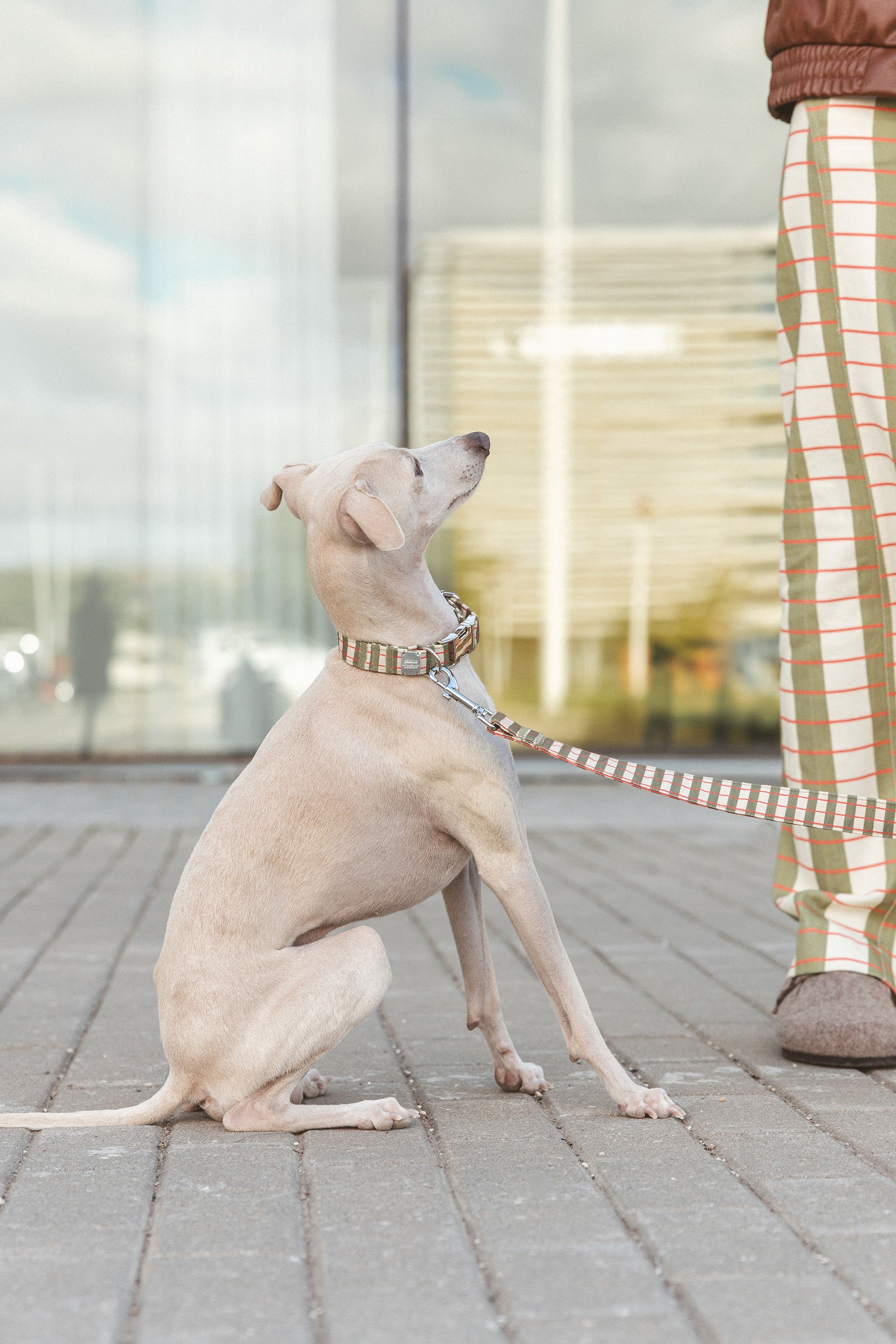 Collier Click Matcha