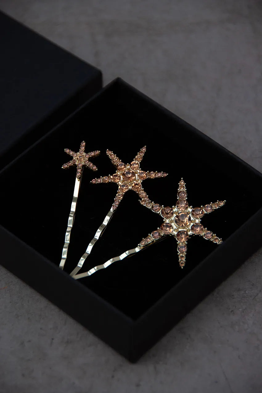 Pack Horquillas Estrella Marrón