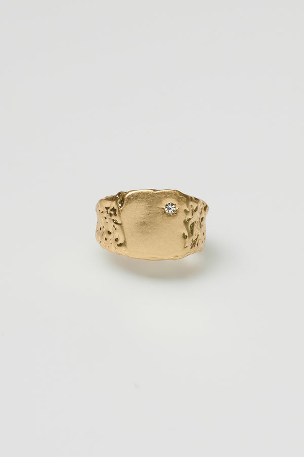 Anillo Sello Irregular Circon