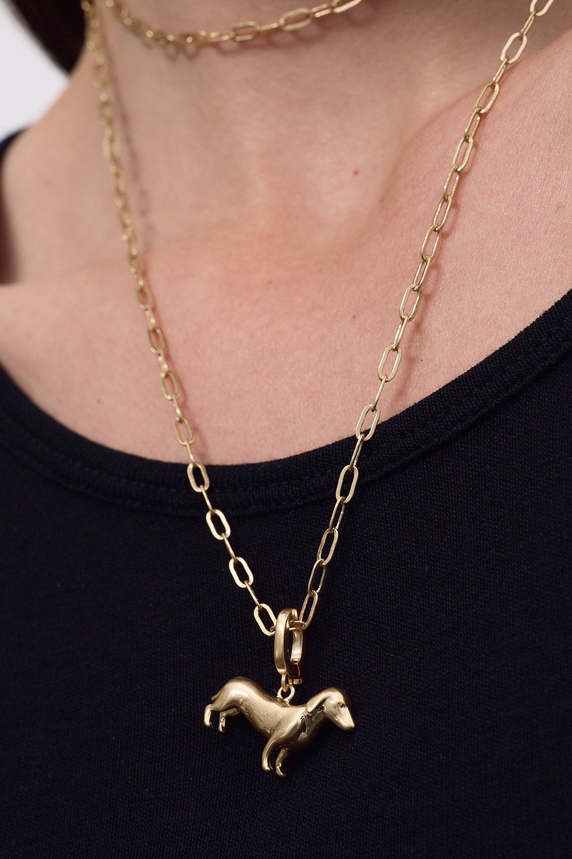 Charm Teckel
