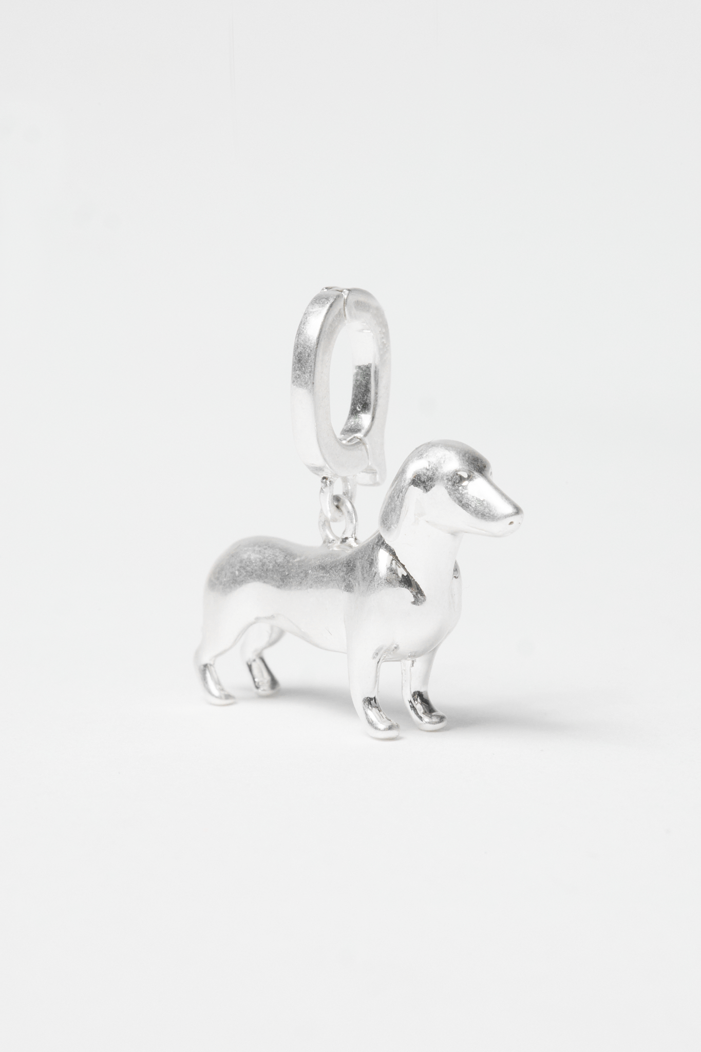 Charm Teckel